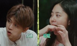 直播爆料吃瓜视频大全,吃瓜视频大全，揭秘娱乐圈幕后真相