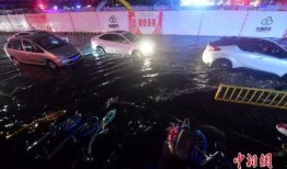 爆料福州暴雨视频大全,视频大全记录惊心动魄瞬间